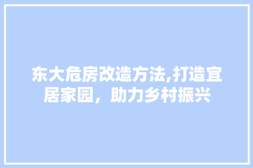 东大危房改造方法,打造宜居家园，助力乡村振兴