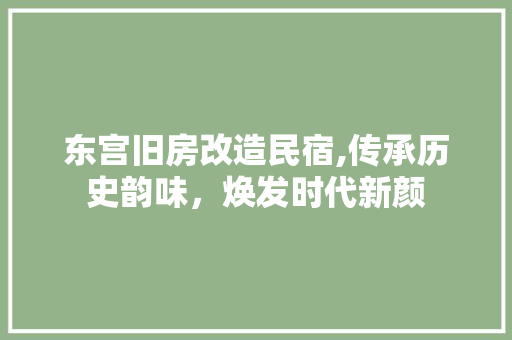 东宫旧房改造民宿,传承历史韵味，焕发时代新颜