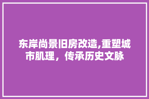 东岸尚景旧房改造,重塑城市肌理，传承历史文脉