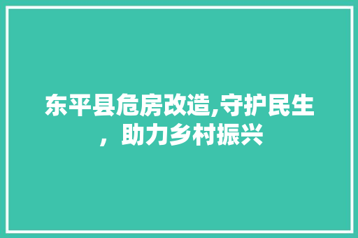 东平县危房改造,守护民生，助力乡村振兴