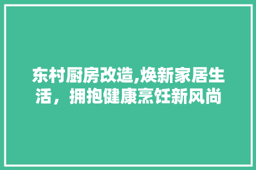 东村厨房改造,焕新家居生活，拥抱健康烹饪新风尚