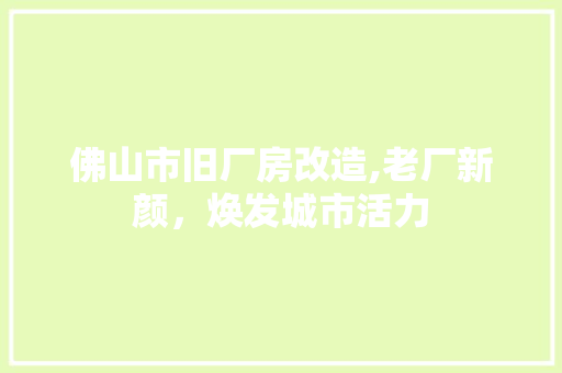 佛山市旧厂房改造,老厂新颜，焕发城市活力