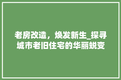 老房改造，焕发新生_探寻城市老旧住宅的华丽蜕变