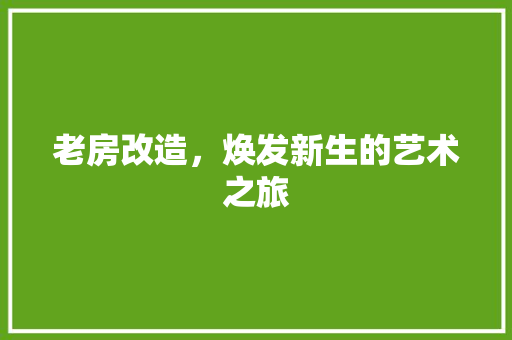 老房改造，焕发新生的艺术之旅