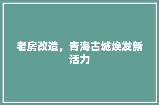 老房改造，青海古城焕发新活力
