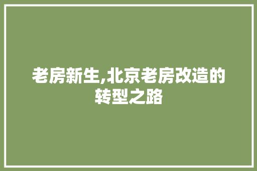 老房新生,北京老房改造的转型之路