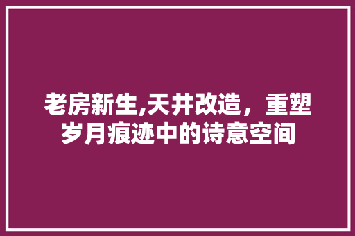 老房新生,天井改造，重塑岁月痕迹中的诗意空间