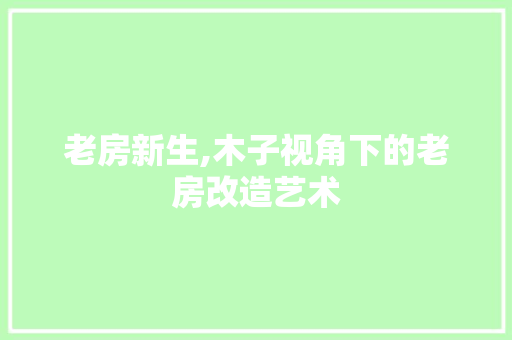 老房新生,木子视角下的老房改造艺术