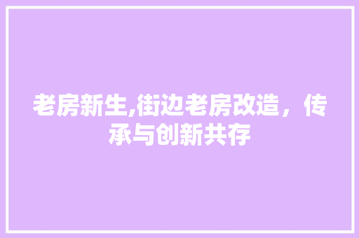 老房新生,街边老房改造，传承与创新共存