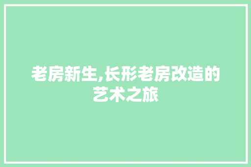 老房新生,长形老房改造的艺术之旅