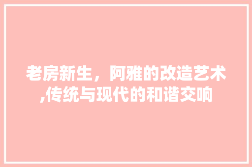 老房新生，阿雅的改造艺术,传统与现代的和谐交响