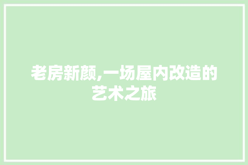 老房新颜,一场屋内改造的艺术之旅