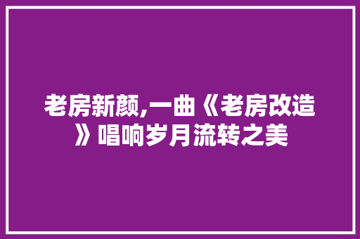 老房新颜,一曲《老房改造》唱响岁月流转之美