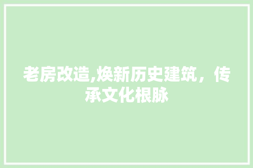 老房改造,焕新历史建筑，传承文化根脉