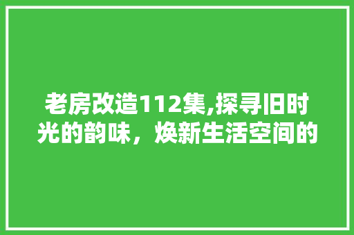 老房改造112集,探寻旧时光的韵味，焕新生活空间的艺术之旅
