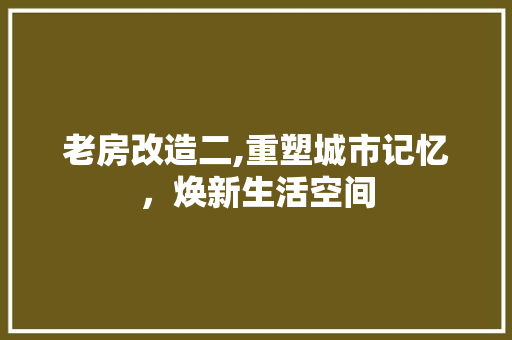 老房改造二,重塑城市记忆，焕新生活空间