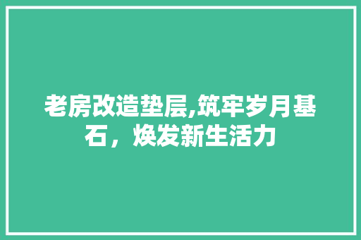 老房改造垫层,筑牢岁月基石，焕发新生活力