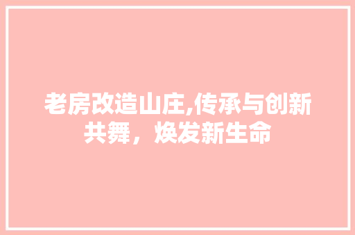 老房改造山庄,传承与创新共舞，焕发新生命