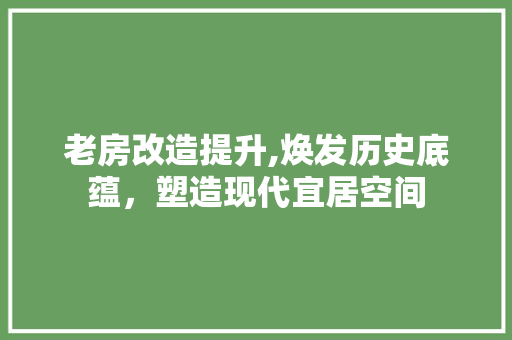 老房改造提升,焕发历史底蕴，塑造现代宜居空间