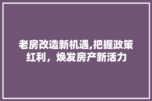 老房改造新机遇,把握政策红利，焕发房产新活力
