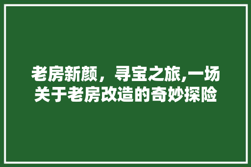 老房新颜，寻宝之旅,一场关于老房改造的奇妙探险