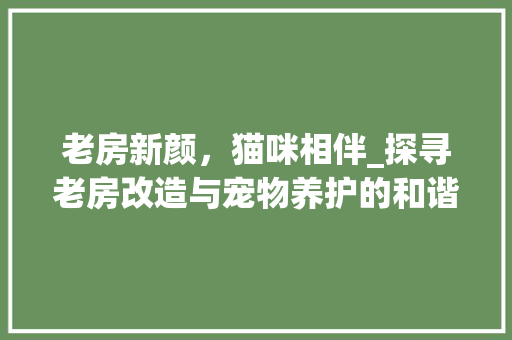 老房新颜，猫咪相伴_探寻老房改造与宠物养护的和谐之路