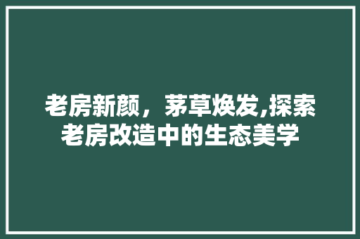 老房新颜，茅草焕发,探索老房改造中的生态美学