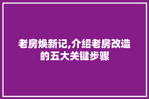 老房焕新记,介绍老房改造的五大关键步骤