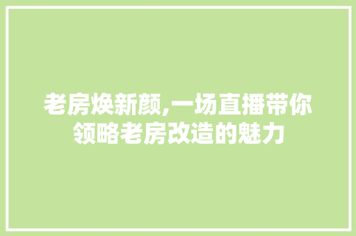老房焕新颜,一场直播带你领略老房改造的魅力