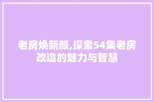 老房焕新颜,探索54集老房改造的魅力与智慧