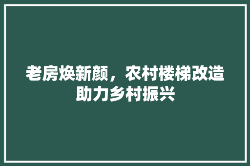 老房焕新颜，农村楼梯改造助力乡村振兴