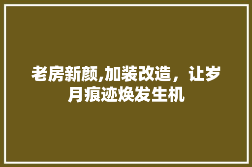 老房新颜,加装改造，让岁月痕迹焕发生机