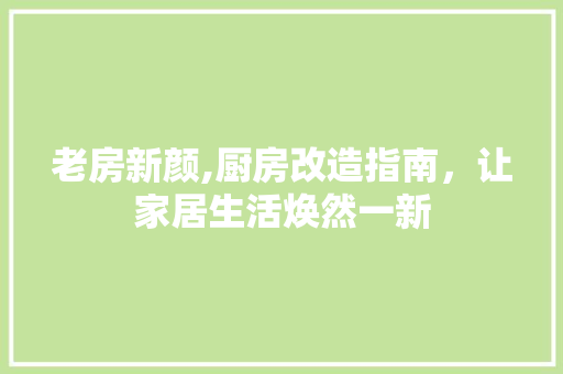 老房新颜,厨房改造指南，让家居生活焕然一新