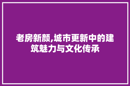 老房新颜,城市更新中的建筑魅力与文化传承