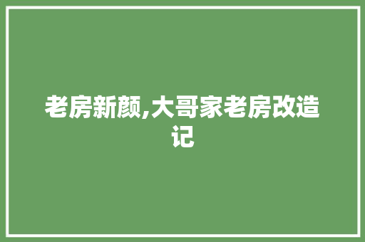 老房新颜,大哥家老房改造记