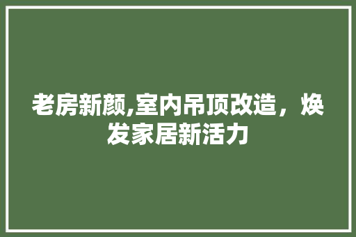 老房新颜,室内吊顶改造，焕发家居新活力