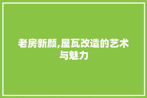老房新颜,屋瓦改造的艺术与魅力