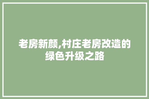 老房新颜,村庄老房改造的绿色升级之路