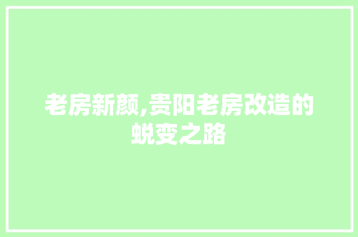 老房新颜,贵阳老房改造的蜕变之路