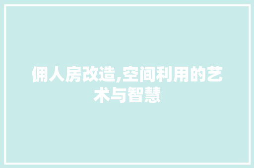 佣人房改造,空间利用的艺术与智慧
