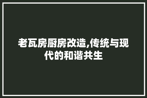 老瓦房厨房改造,传统与现代的和谐共生