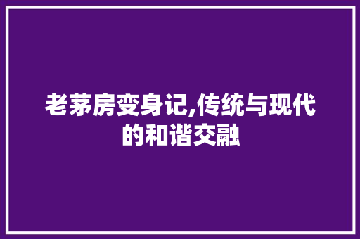 老茅房变身记,传统与现代的和谐交融