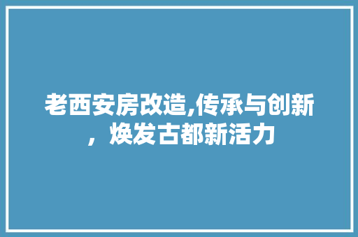 老西安房改造,传承与创新，焕发古都新活力