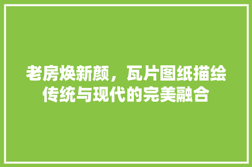 老房焕新颜，瓦片图纸描绘传统与现代的完美融合