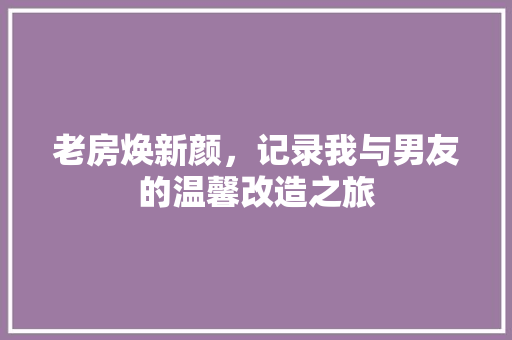 老房焕新颜，记录我与男友的温馨改造之旅
