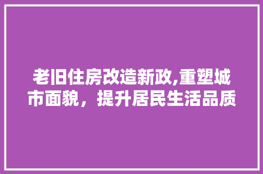 老旧住房改造新政,重塑城市面貌，提升居民生活品质