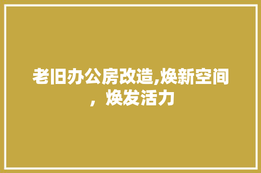 老旧办公房改造,焕新空间，焕发活力