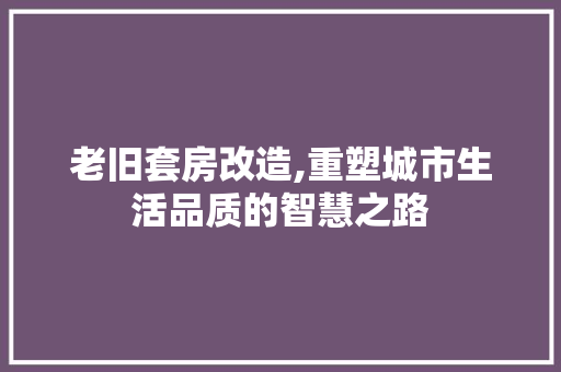 老旧套房改造,重塑城市生活品质的智慧之路