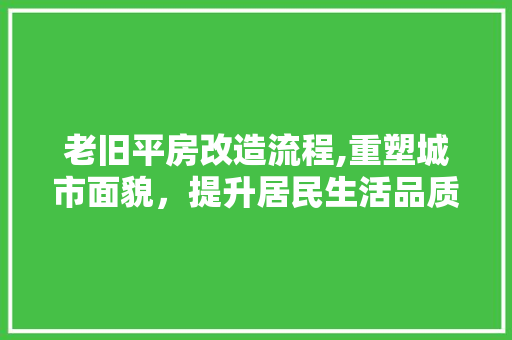 老旧平房改造流程,重塑城市面貌，提升居民生活品质