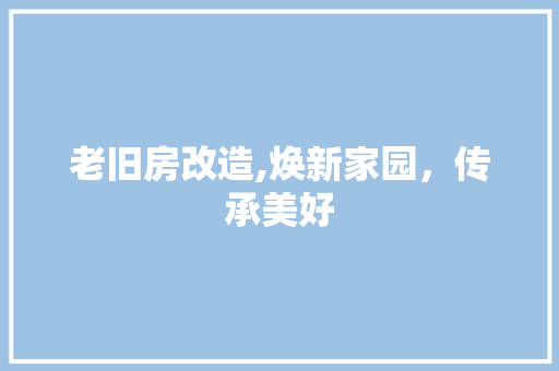 老旧房改造,焕新家园，传承美好